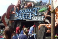 sharkbait-reef-sealife-centre_7914173988_o.jpg